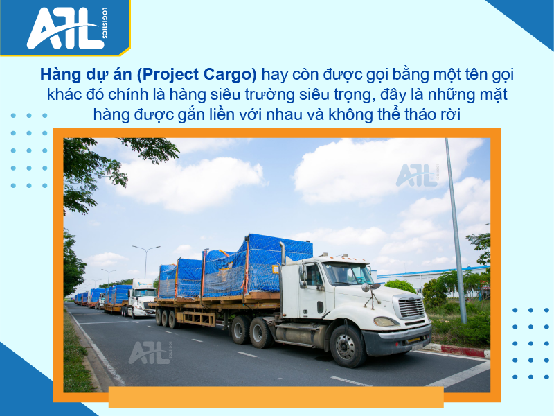 hàng dự án là gì