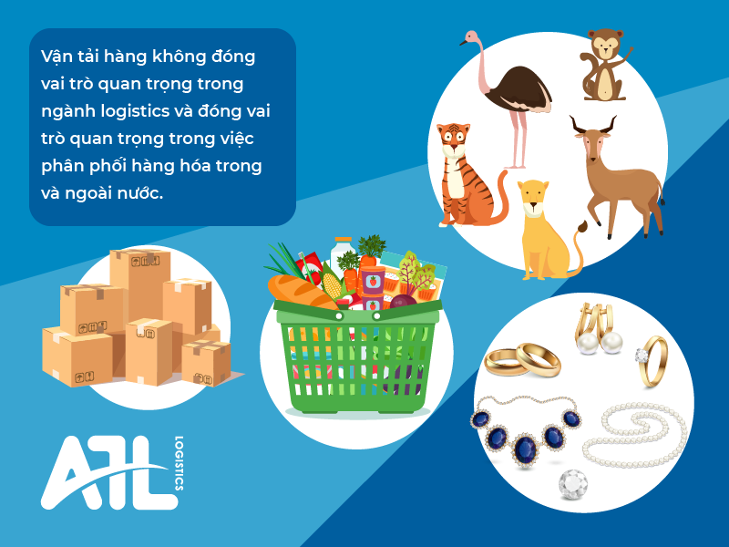 Vận tải đường hàng không